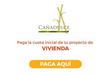 boton_cana_dulce_373_x_272.jpg