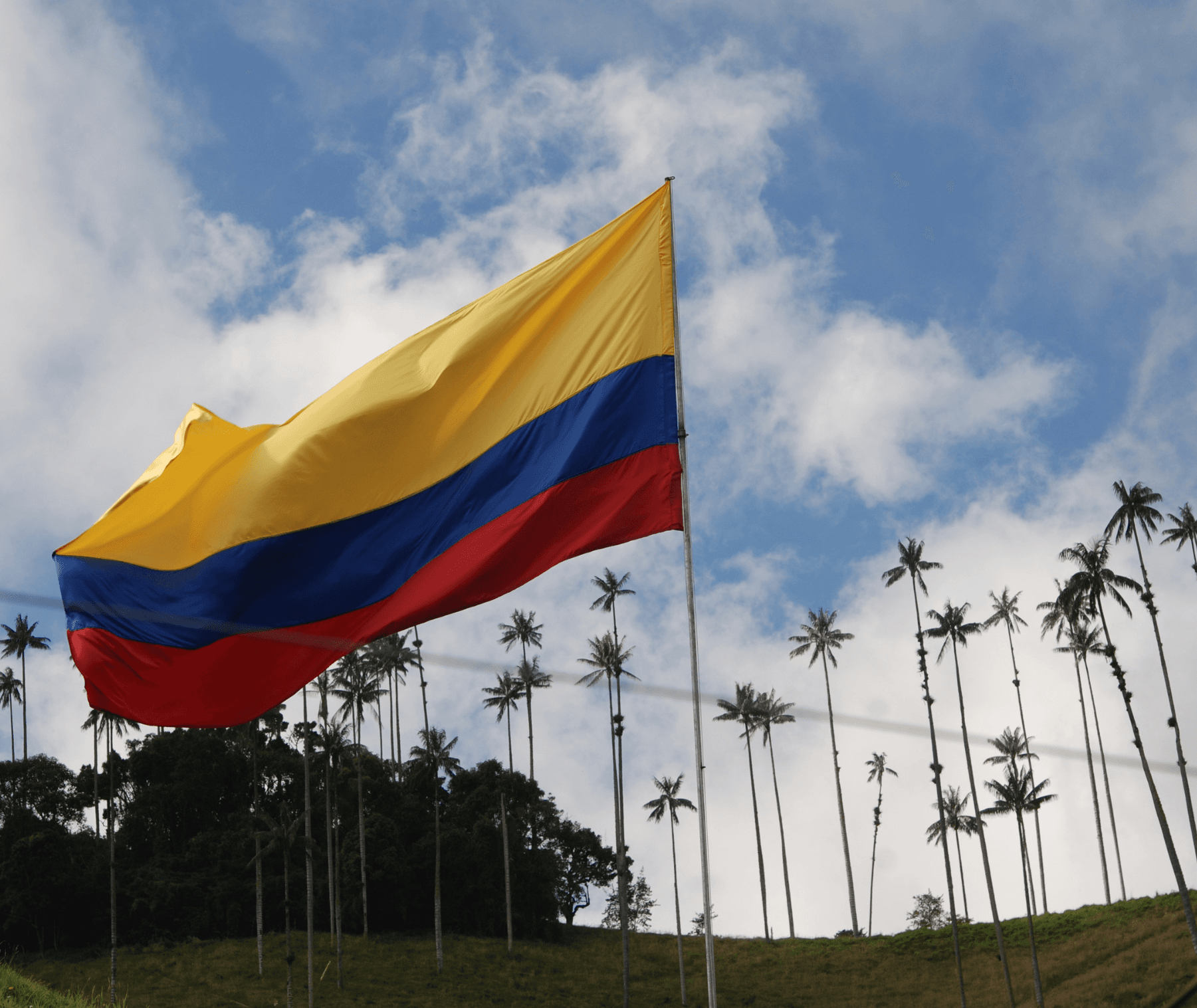 fiesta de la colombianidad