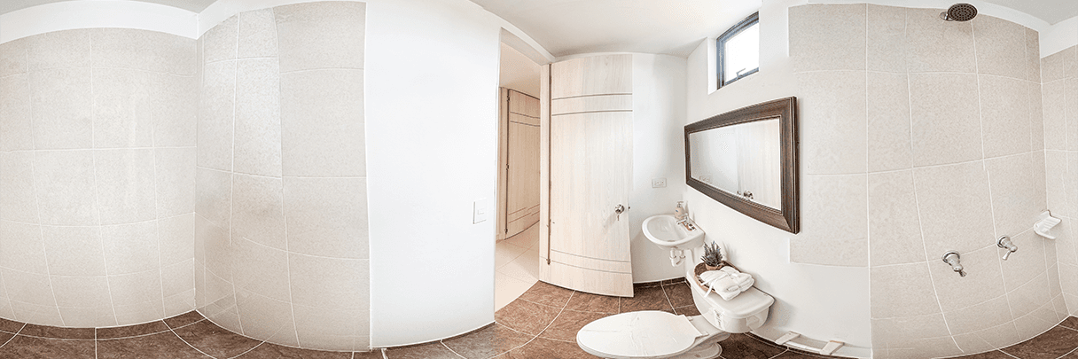 fotos azalea 3 fotos azalea 3