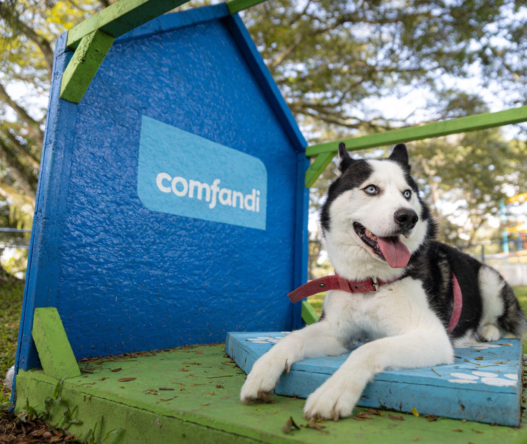 zona pet 1 zona pet 1