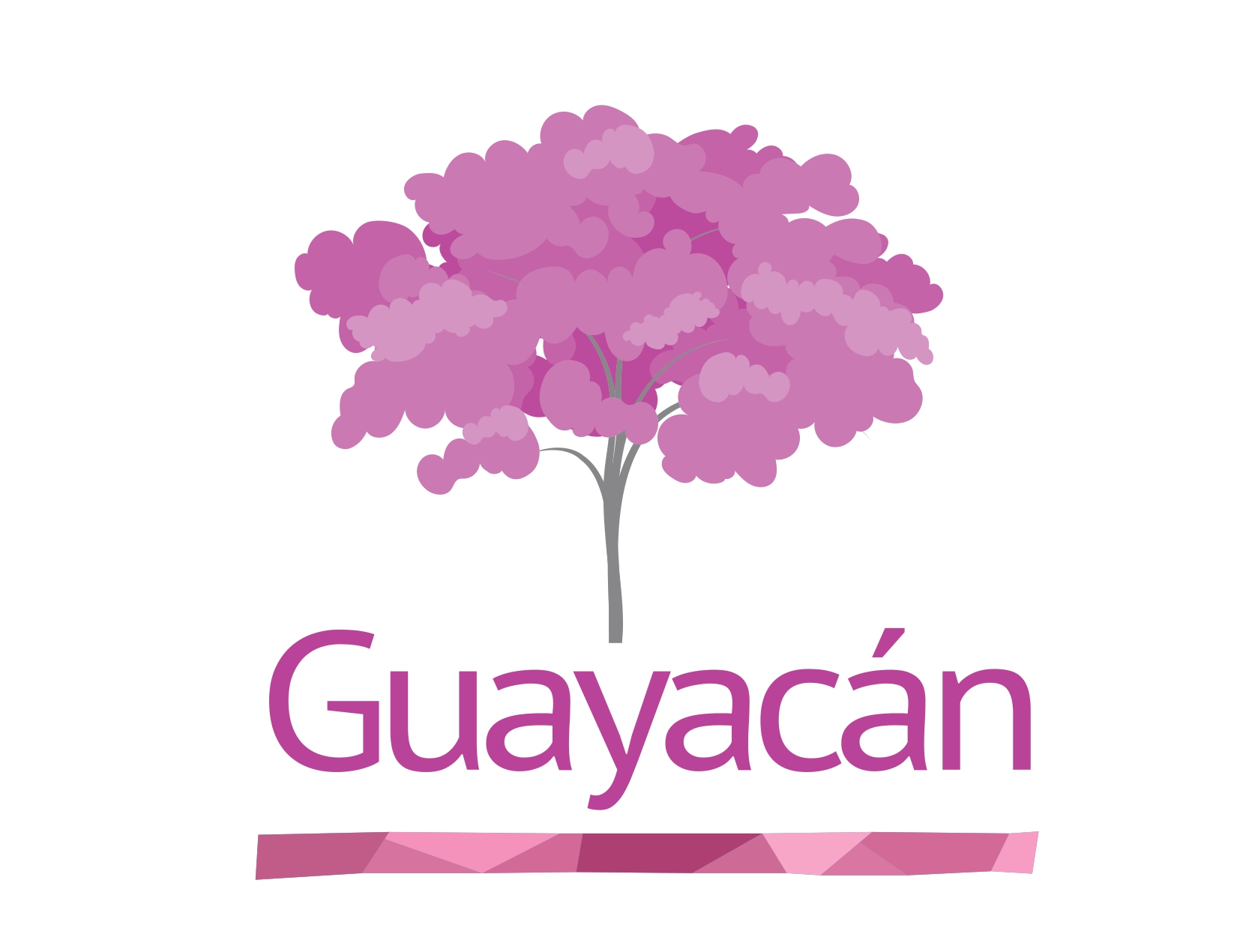 Ciudadela Guayacán 