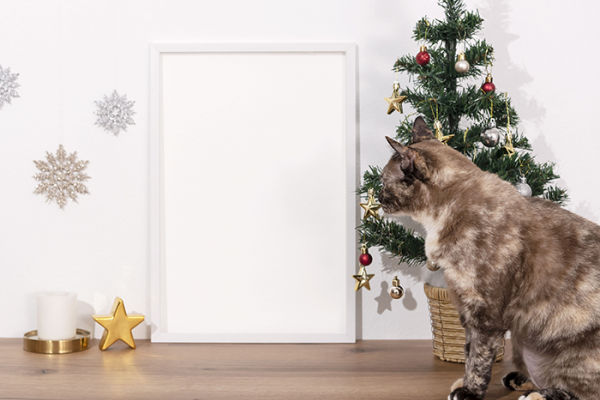 Nuestros Gatos y El Arbol de Navidad